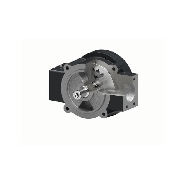 德國(guó)原裝進(jìn)口Rickmeier齒輪泵R4.5/035 FL-Z-G050-UNI-SD010